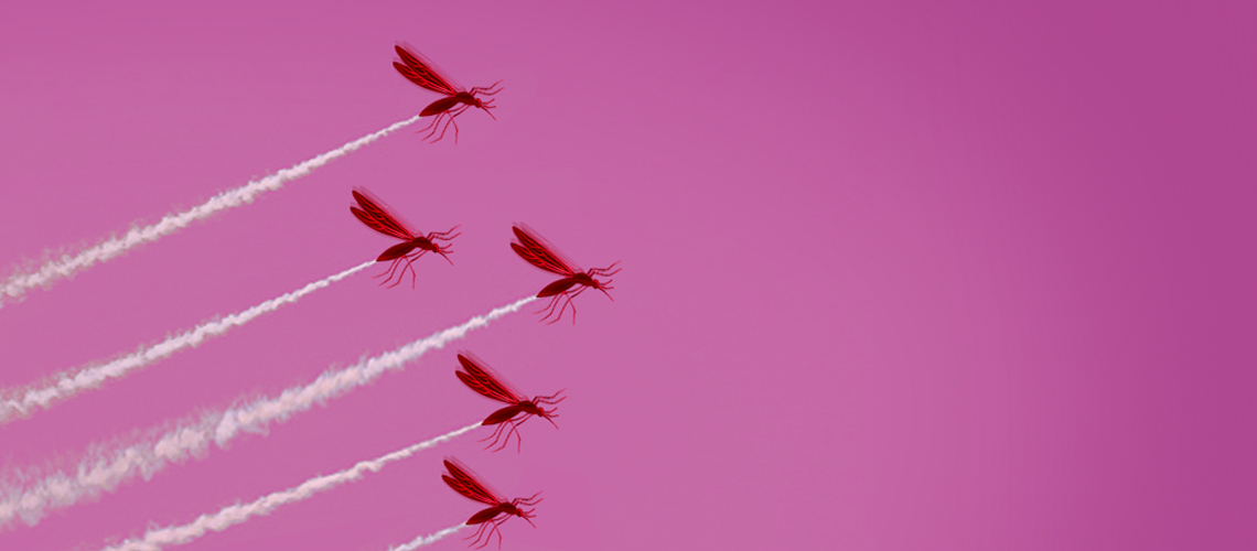 Mosquitoes flying.