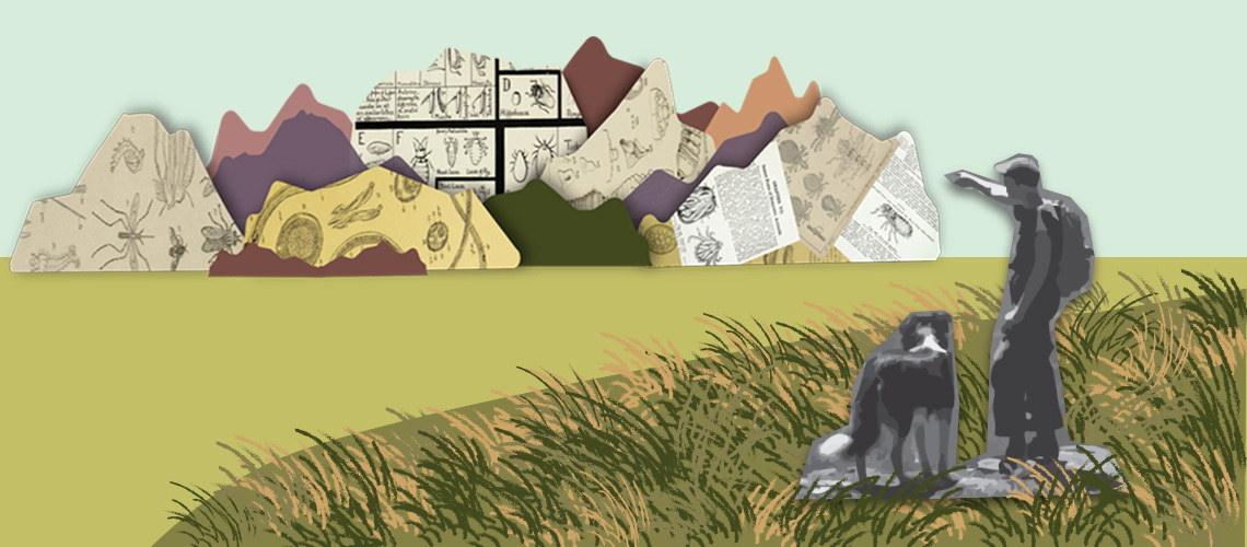Illustration of the mountains.