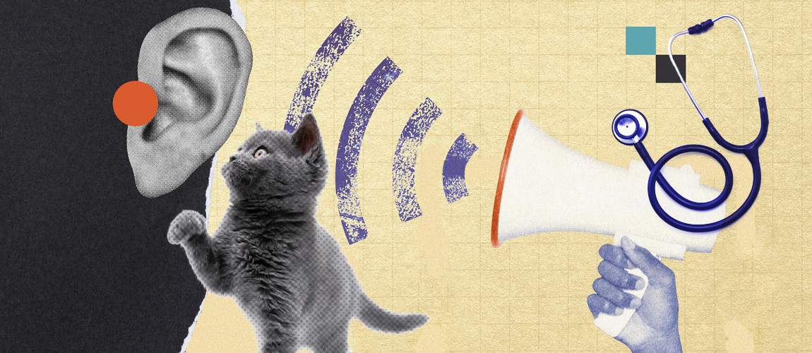 Illustration of a megaphone and listening ear.