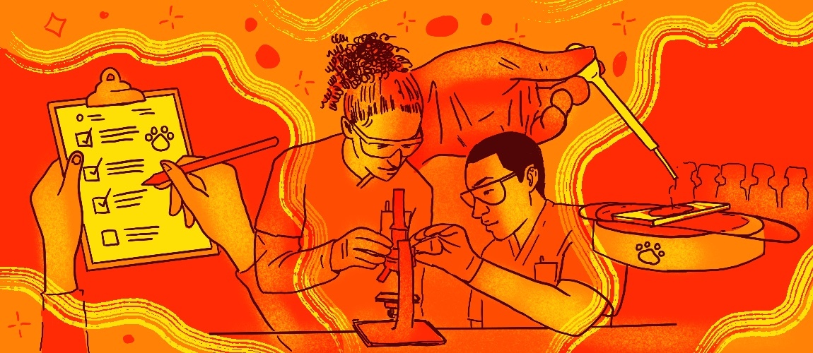 Veterinary technicians working on a microscope.