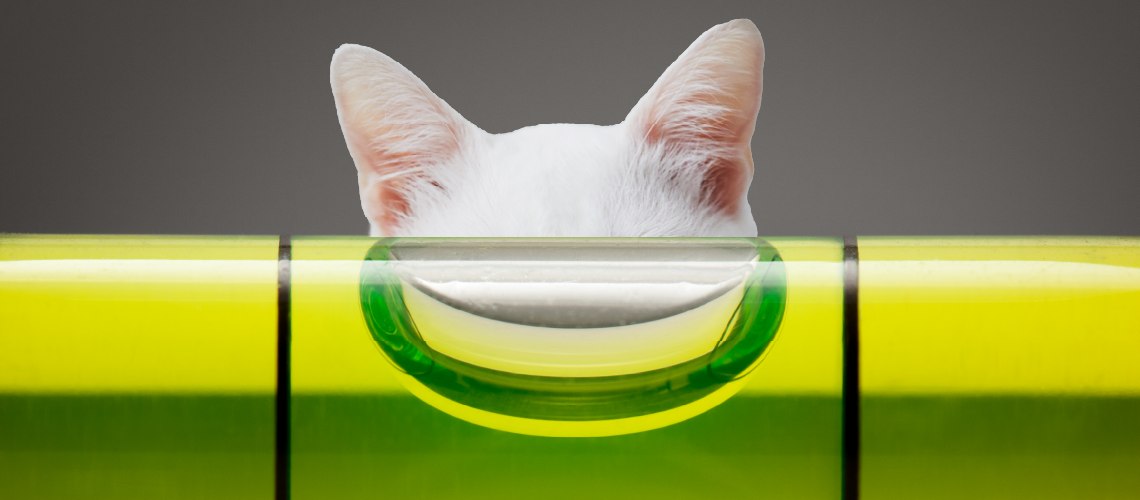 Cat ears.