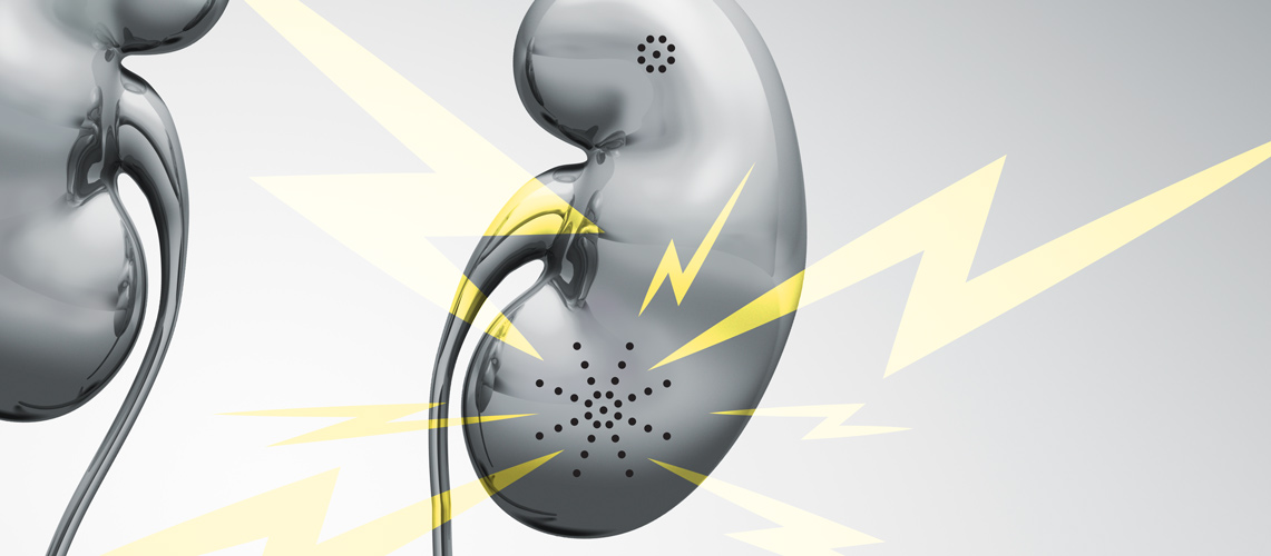 Illustration of a kidney and a phone.