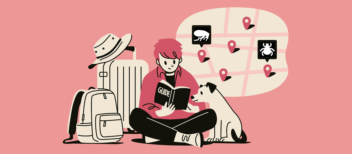Traveler illustration.