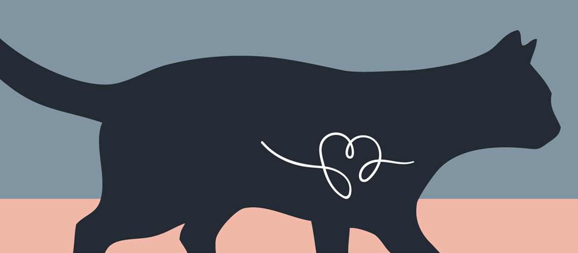 Illustration of a cat.