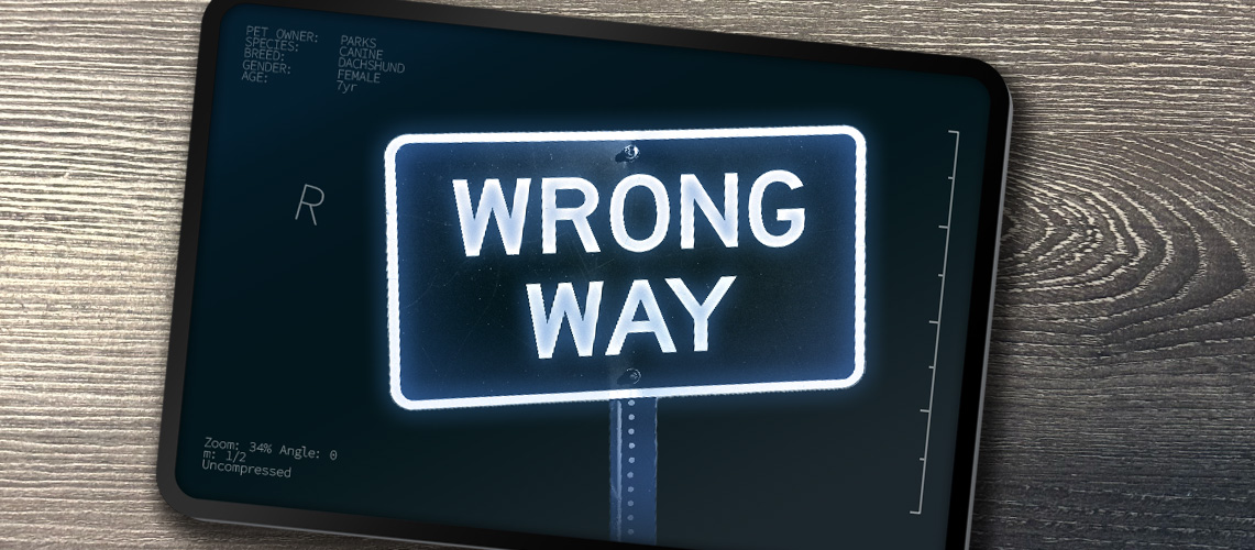 Wrong way sign.