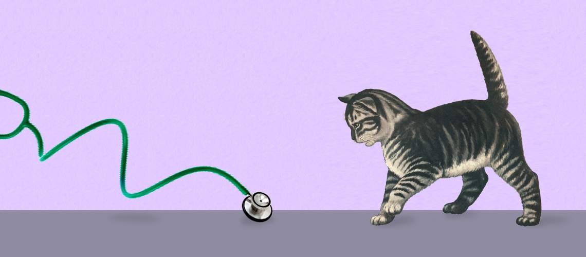 Illustration of a cat playing.