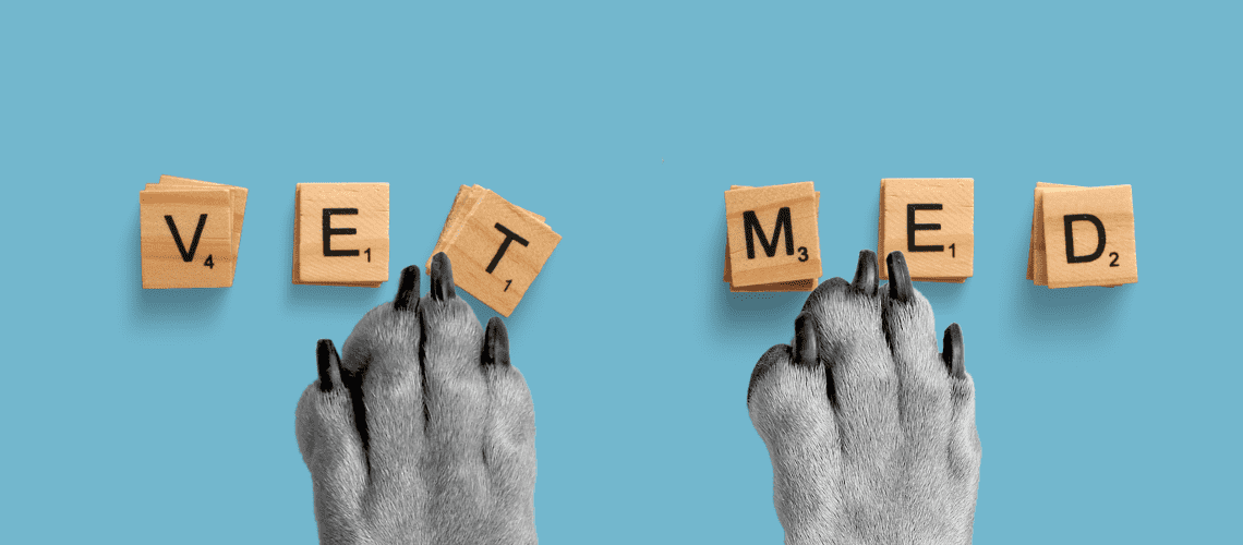 Dog paws and Scrabble