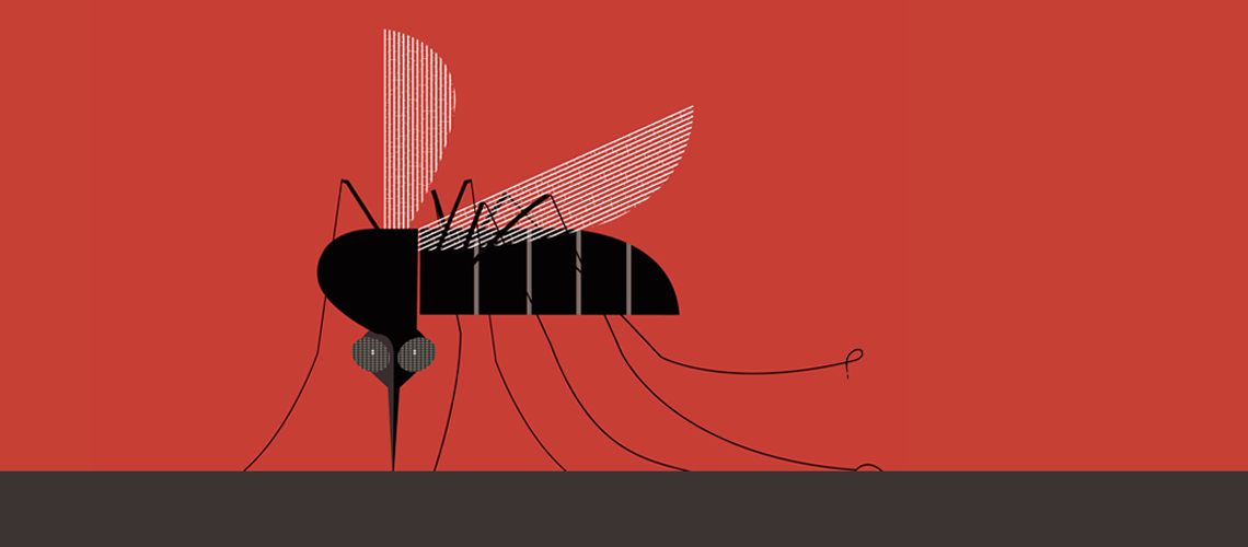 Illustration of a sandfly.