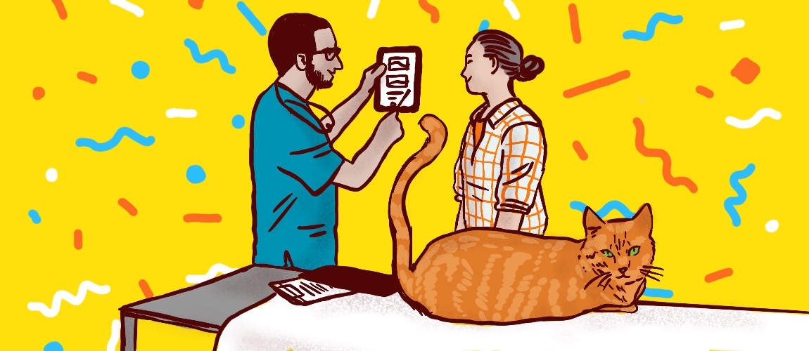 Illustration of a cat in a vet exam.