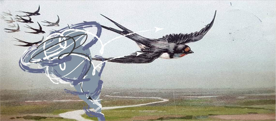 Illustration of a tornado.