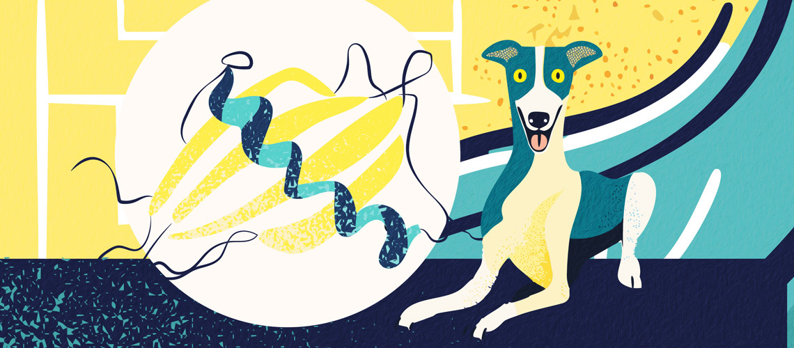 illustration of a greyhound dog.