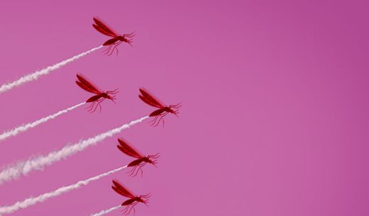 Mosquitoes flying.