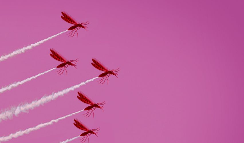 Mosquitoes flying.