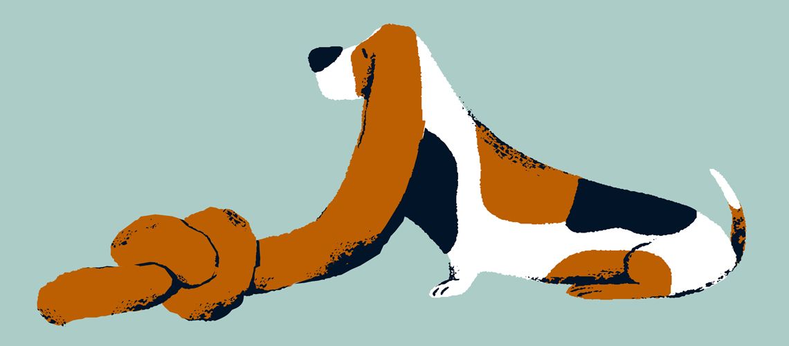 New Technology Can Help Streamline Ear Cytology for Your Veterinary