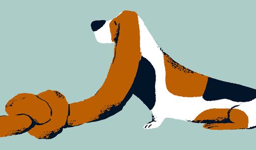 Illustration of dog