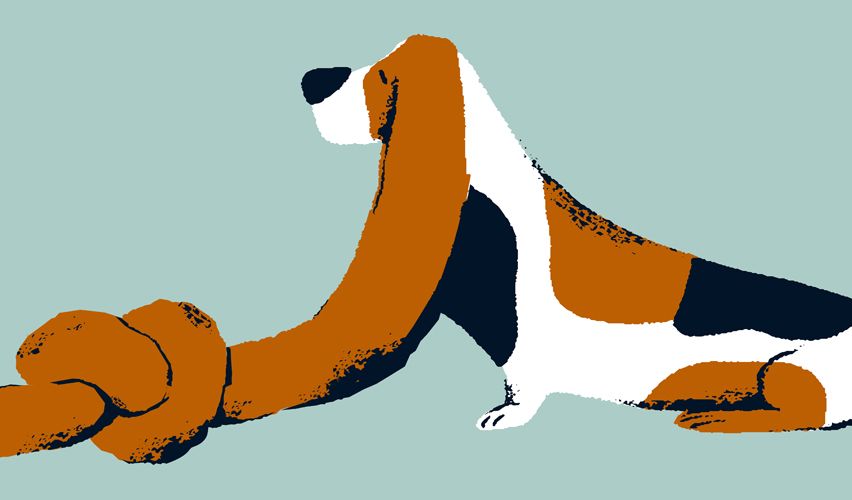 Illustration of dog