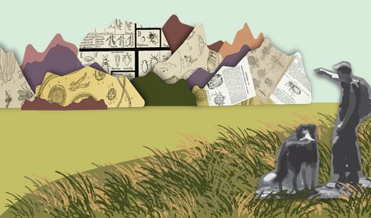 Illustration of the mountains.