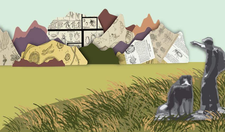 Illustration of the mountains.