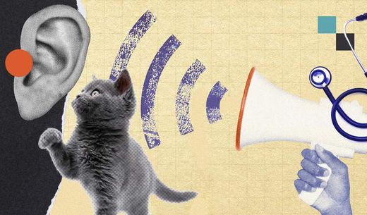 Illustration of a megaphone and listening ear.