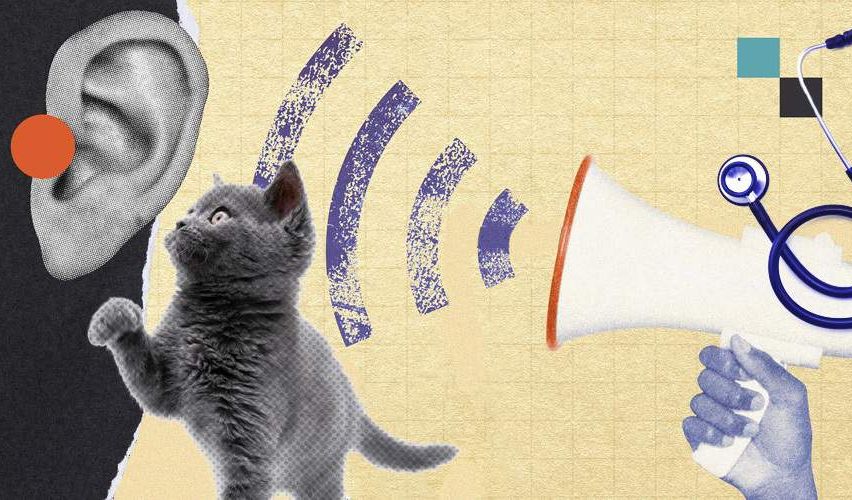 Illustration of a megaphone and listening ear.