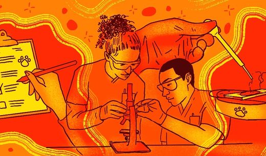 Veterinary technicians working on a microscope.