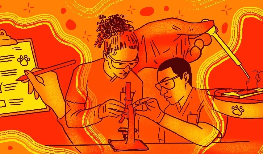 Veterinary technicians working on a microscope.