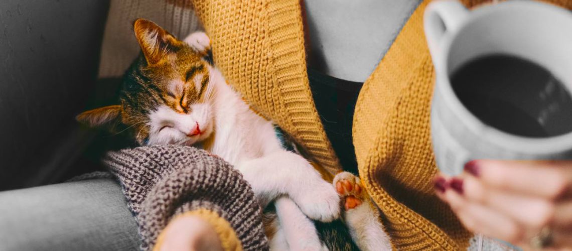 Veterinarian relaxing with a cup of coffee and a kitten.