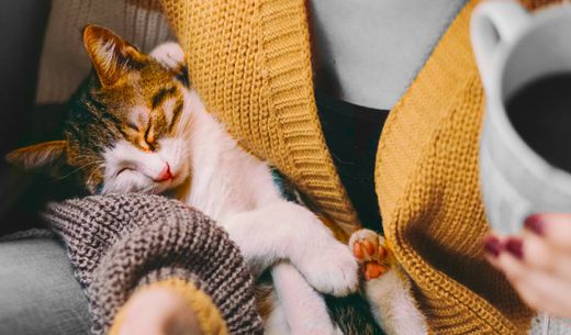 Veterinarian relaxing with a cup of coffee and a kitten.