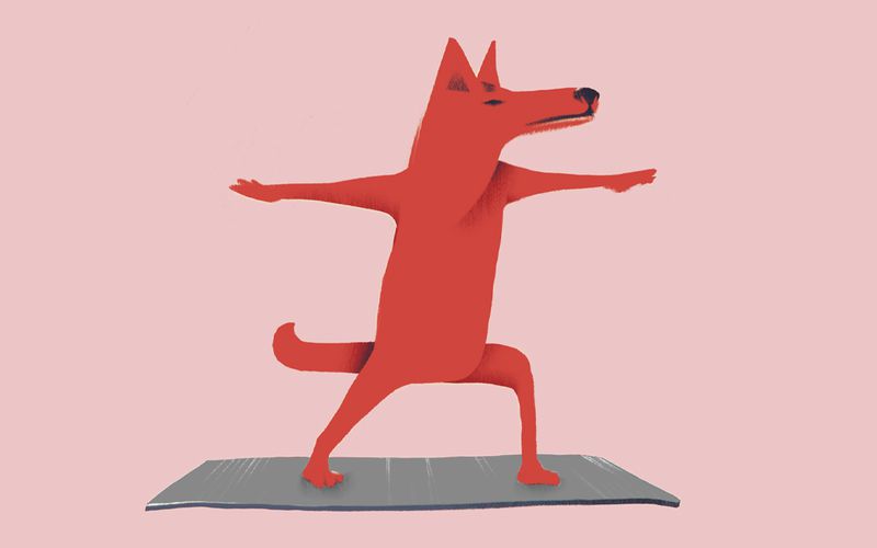 Illustration of a dog in warrior pose on a yoga mat.