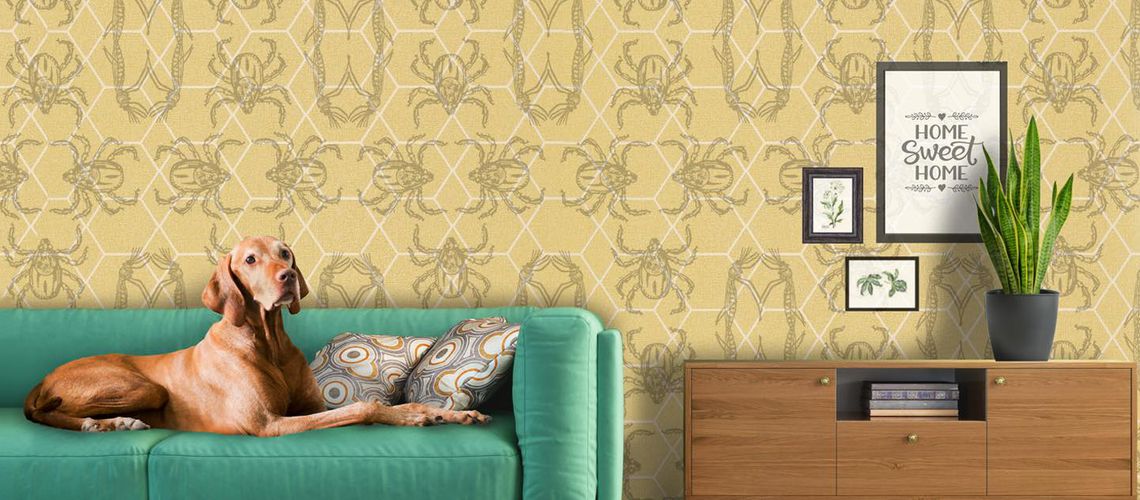 Illustration of a dog on a sofa with tick wallpaper.