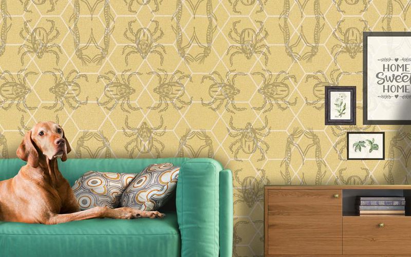 Illustration of a dog on a sofa with tick wallpaper.