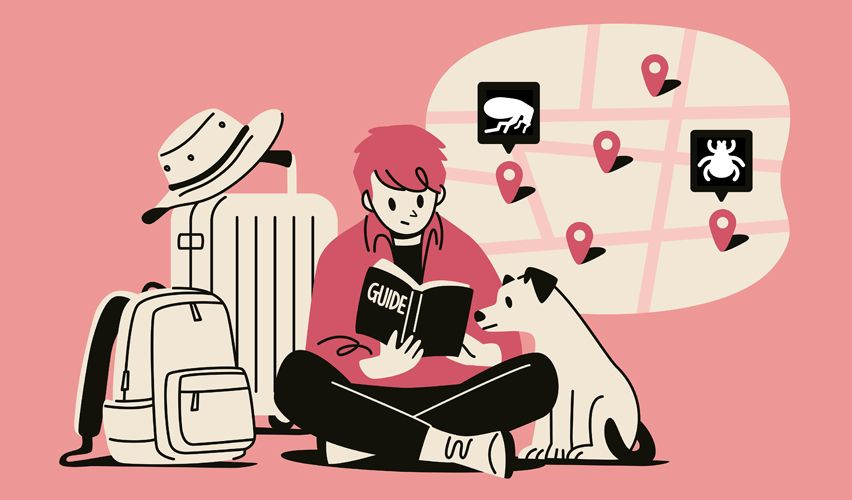 Traveler illustration.