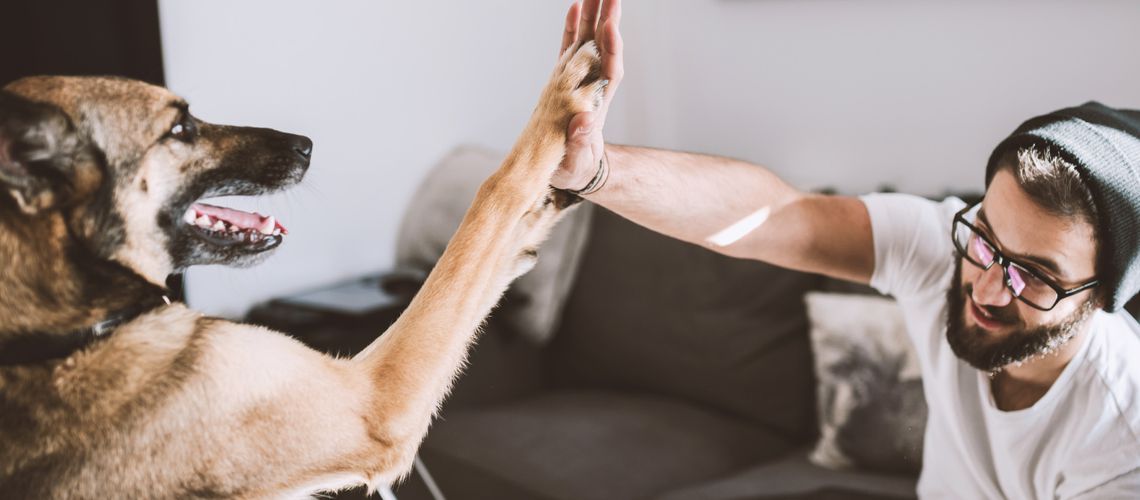 Pet owner slapping high five with his dog.