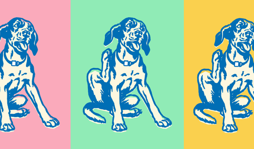 Illustration of a dog scratching.