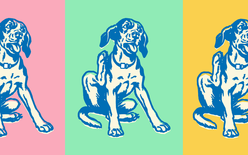 Illustration of a dog scratching.