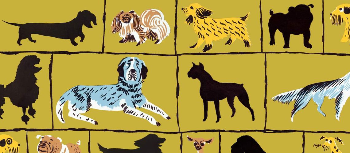 Illustration of a bunch of dogs.