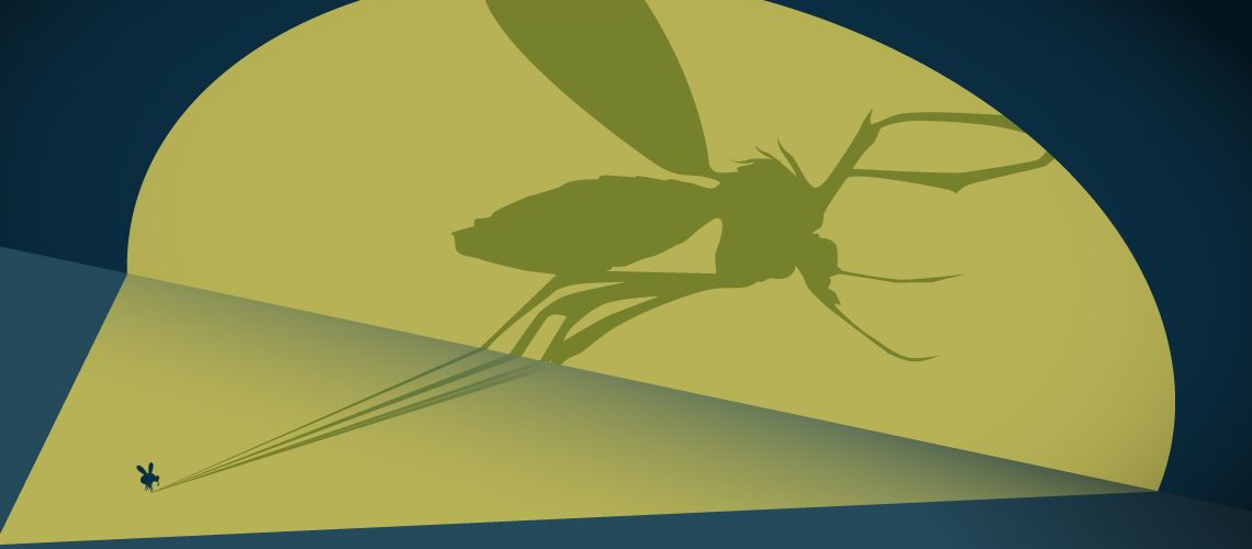Illustration of a large mosquito