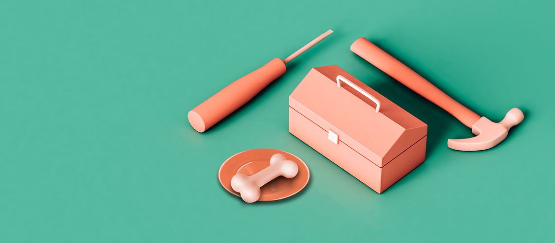 Tools and a bone