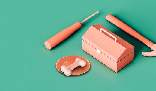 Tools and a bone