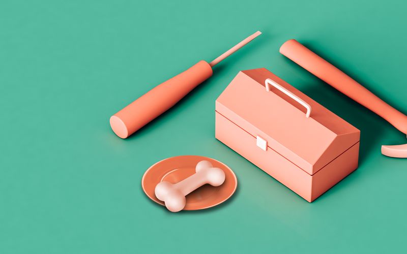 Tools and a bone