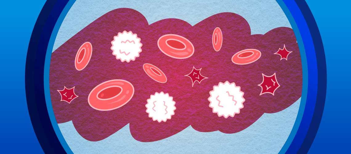 Platelets illustration