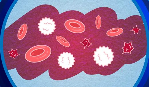 Platelets illustration