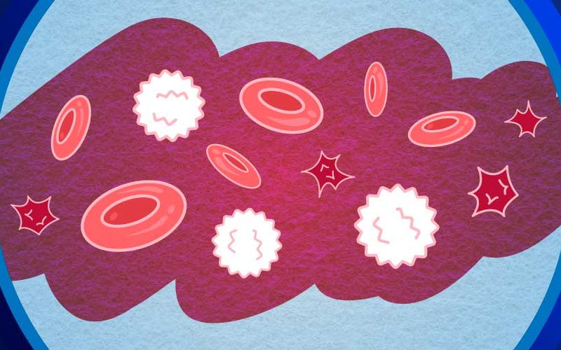 Platelets illustration