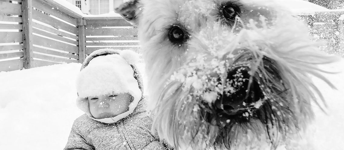 Dog and baby in the snow.