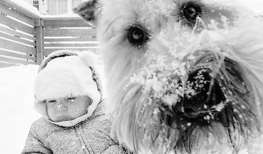 Dog and baby in the snow.