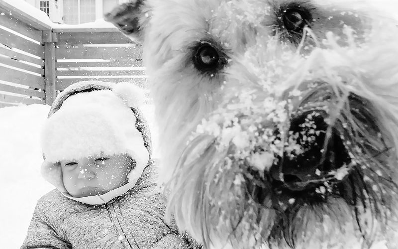Dog and baby in the snow.
