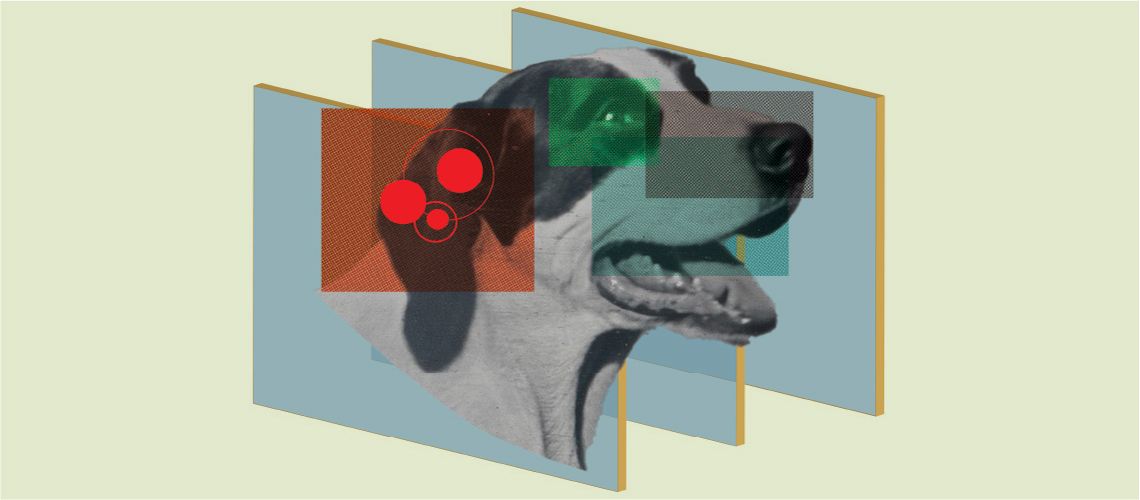 Illustration of a dog.