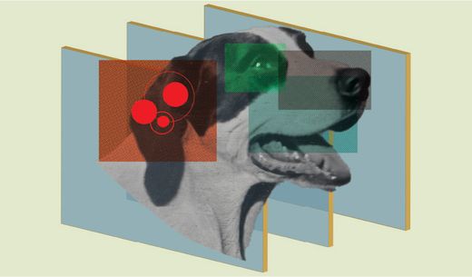 Illustration of a dog.