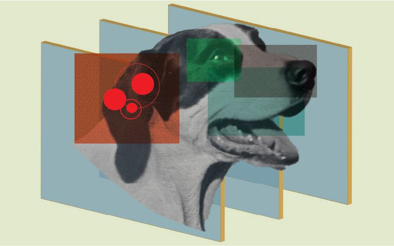 Illustration of a dog.