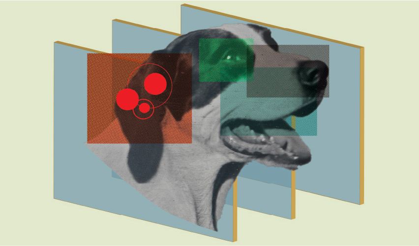 Illustration of a dog.